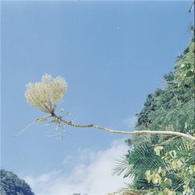 赤月雷霆手游下载