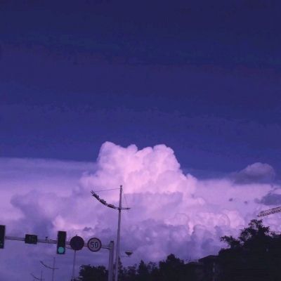 真后宫无双百度版官方下载