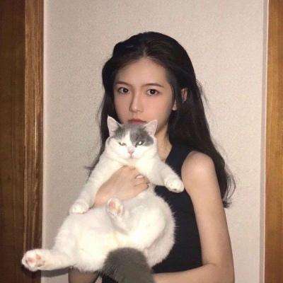 灵梦仙缘手机版下载